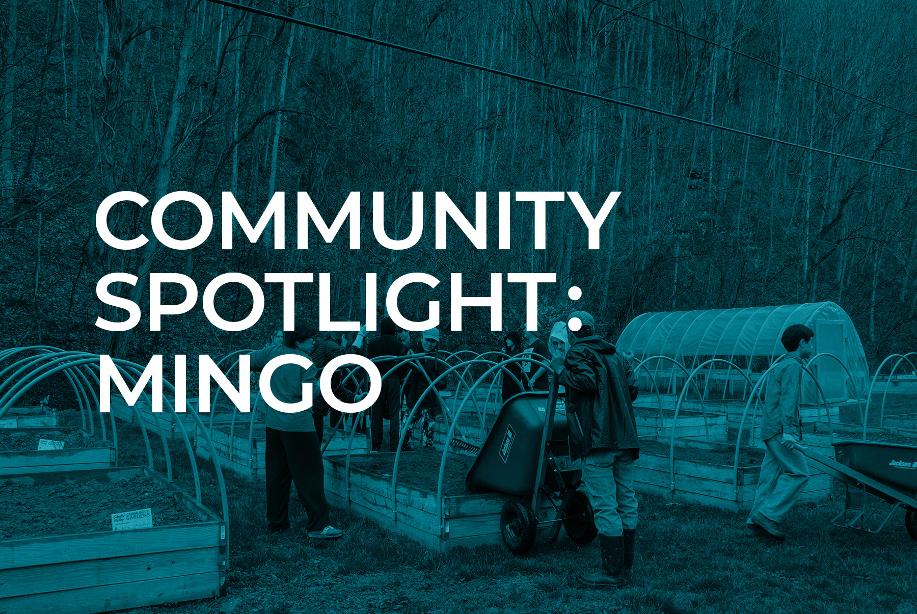 Community Spotlight: Mingo. Gardeners working together around a raised garden bed.