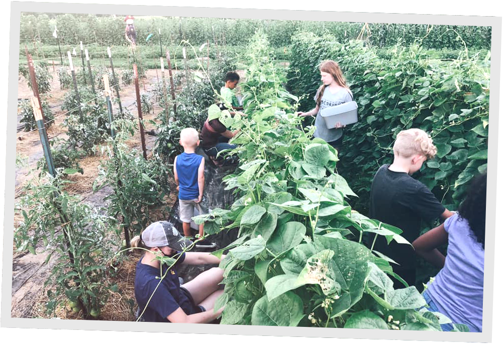 Children working in a Huntington West Virginia community garden